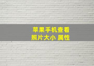 苹果手机查看照片大小 属性